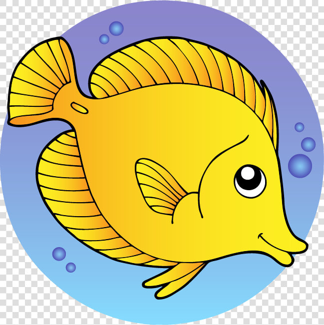 Fishes Png  Transparent PngTransparent PNG