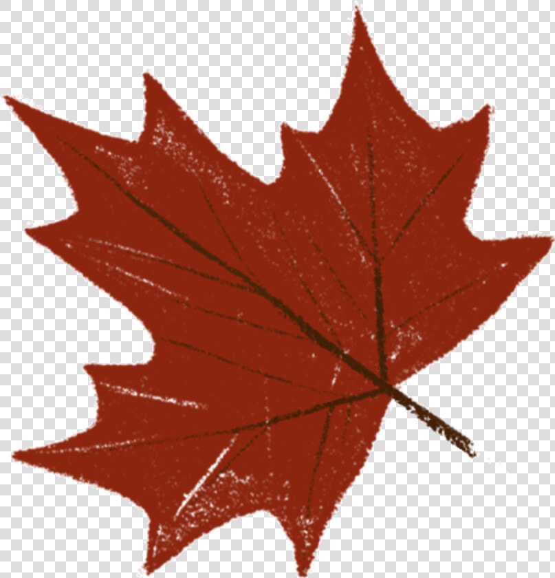  leaf  hoja  naranja  rojo  orange  rouge  red  tumblr   Maple Leaf  HD Png DownloadTransparent PNG