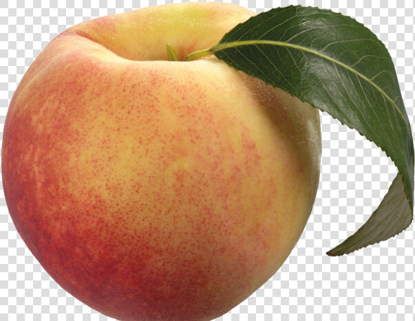 Peach Png Transparent Images   Peach Transparent Background  Png DownloadTransparent PNG