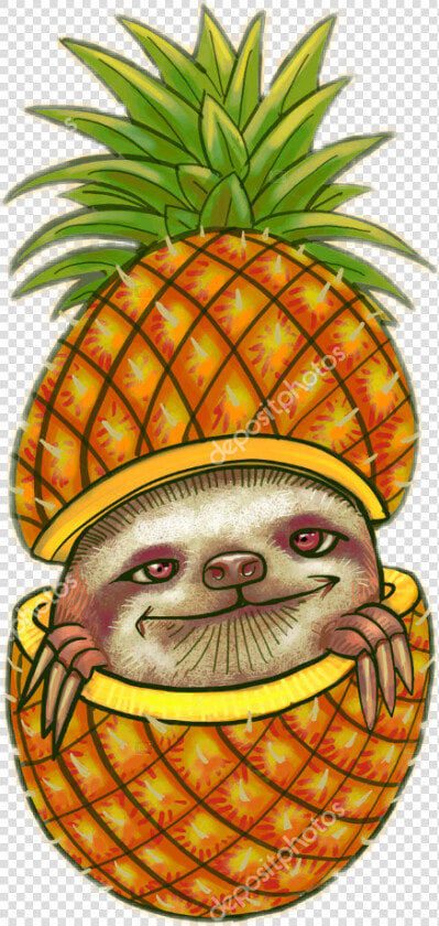  tropical  cute  fofo  abacaxi   Pineapple Sloth  HD Png DownloadTransparent PNG