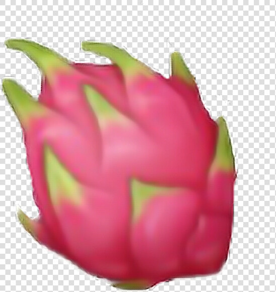  fruit  fruits  pink  green  dragon  nature  emoji   Dragon Fruit Emoji Png  Transparent PngTransparent PNG