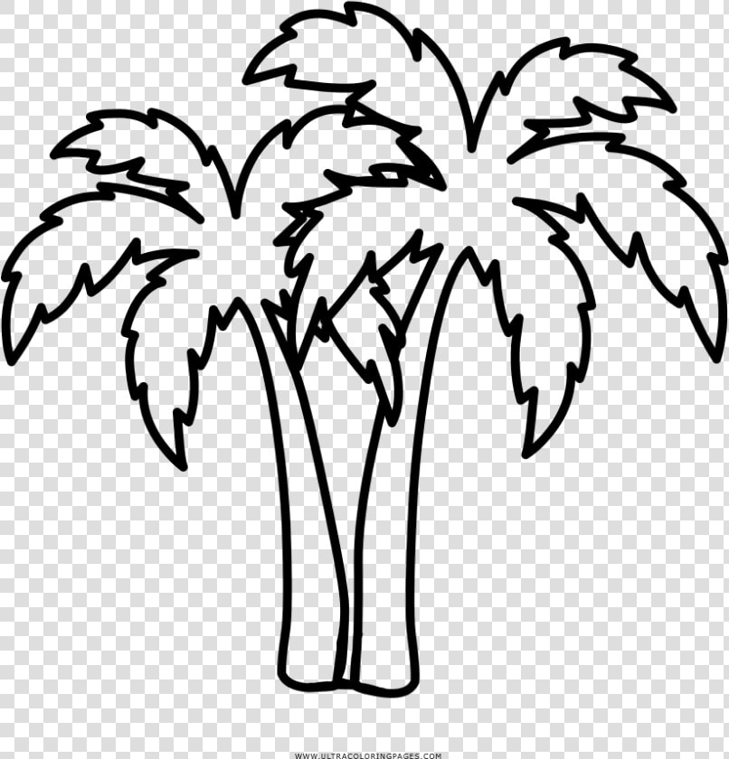 Transparent Palm Tree Drawing Png   Dibujos Para Calcar De Palmeras  Png DownloadTransparent PNG