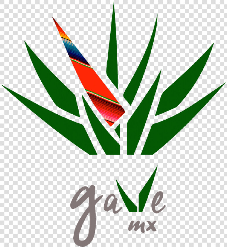 Gave Mx  HD Png DownloadTransparent PNG