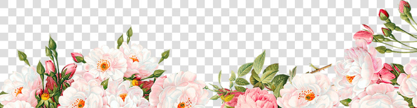 Png Floral Border   Transparent Floral Border Png  Png DownloadTransparent PNG