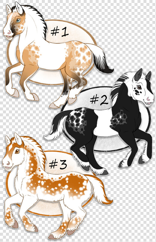 Foal Adopts  2 3 Open    Cartoon  HD Png DownloadTransparent PNG