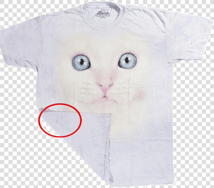 Футболка С Дефектом White Kitten Face  HD Png DownloadTransparent PNG