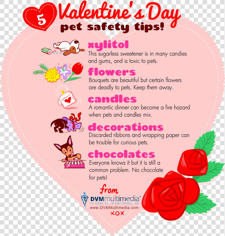 Dvm valentine   Valentines Pet Safety Tips  HD Png DownloadTransparent PNG