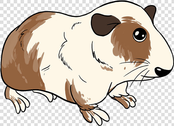 How To Draw Guinea Pig   Guinea Pig Drawing Cartoon  HD Png DownloadTransparent PNG