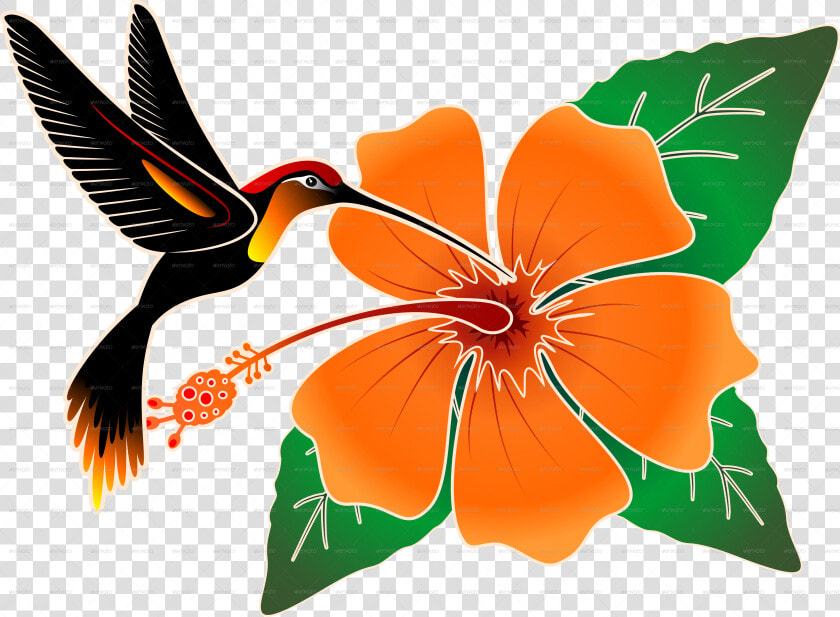 Transparent Clipart Den   Hibiscus And Hummingbird Png  Png DownloadTransparent PNG