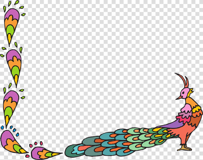 Peacock  Peafowl  Fantail  Fan Tail  Showy Tail   Decorate A Chart Paper  HD Png DownloadTransparent PNG