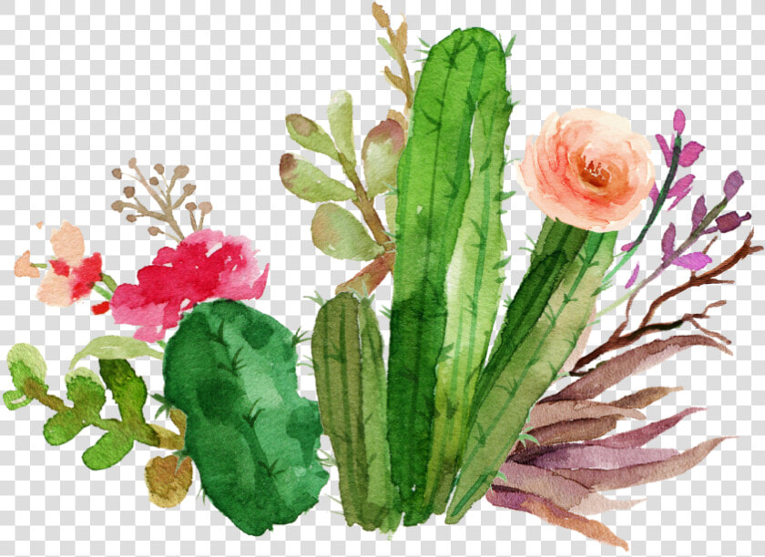 Transparent Cactus Flower Png   Watercolor Transparent Cactus Clipart  Png DownloadTransparent PNG