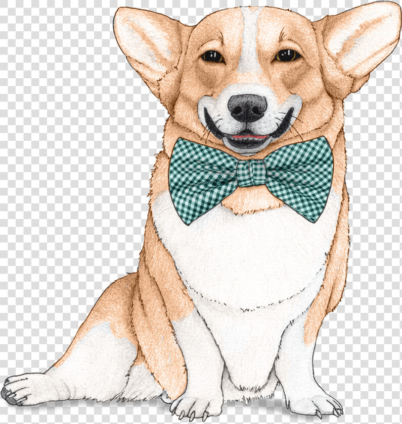 Dog Wallpaper For Walls  HD Png DownloadTransparent PNG