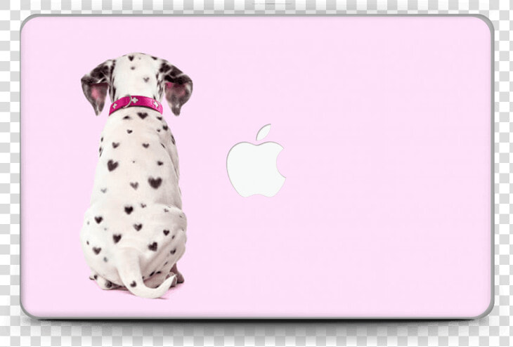 Dalmatian Love Skin Macbook Air 11”   Fundas Iphone 8 Plus Dalmata  HD Png DownloadTransparent PNG