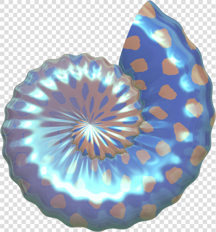 Free Seashell Cliparts The Cliparts   Sea Shells Transparent Background  HD Png DownloadTransparent PNG