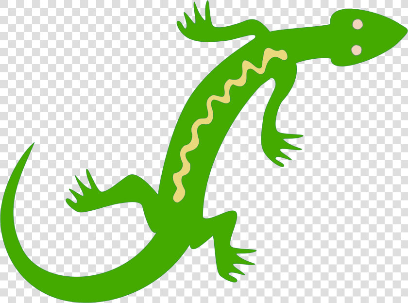 Newt Clipart Iguana   Lizard Clipart  HD Png DownloadTransparent PNG