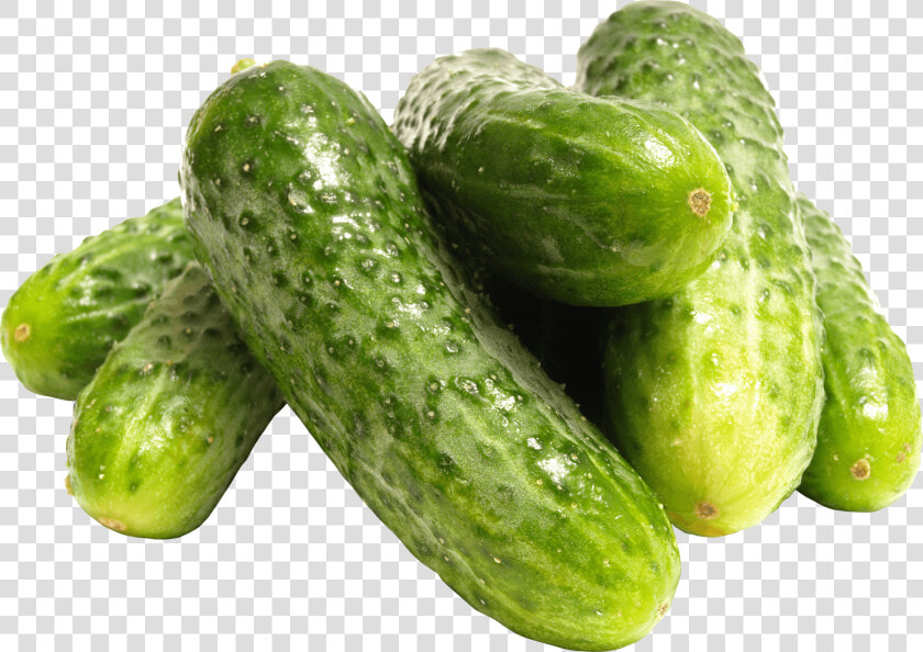 Pile Of Cucumbers   Cucumber Pickling Png  Transparent PngTransparent PNG