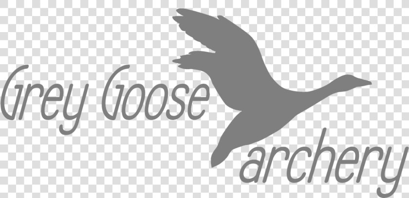 Grey Goose Archery   California Sea Lion  HD Png DownloadTransparent PNG