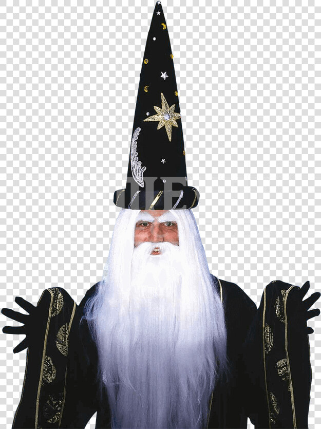 Wizard Beard Png   Hair Wizard  Transparent PngTransparent PNG