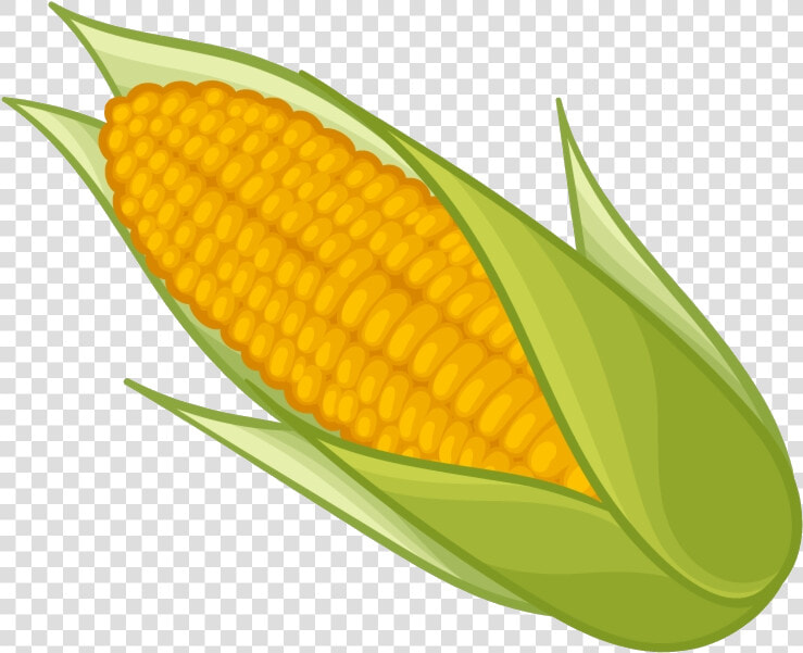 Corn Clipart Sweet Clip Art Transparent Png   Corn Clipart  Png DownloadTransparent PNG