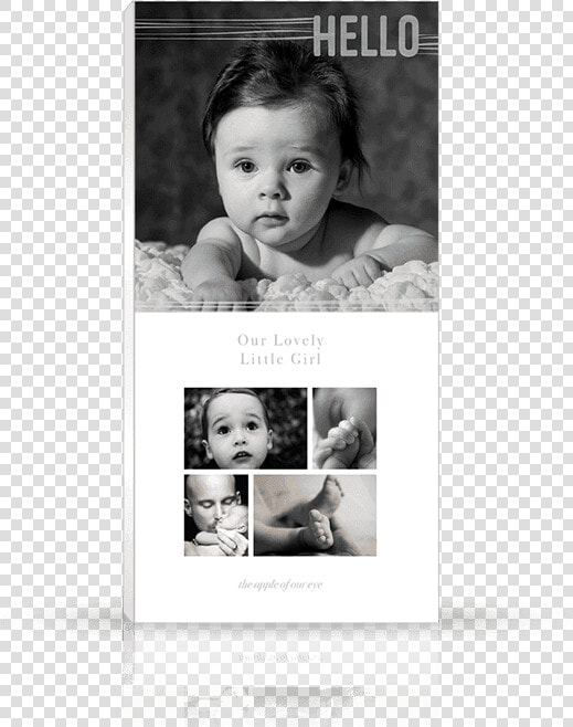 Front Photo Book Cover Designed For Newborn  Baby And   Toddler  HD Png DownloadTransparent PNG