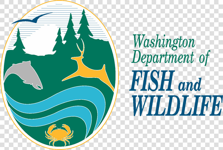 Washington Department Of Fish And Widlife   Washington Fish And Wildlife  HD Png DownloadTransparent PNG