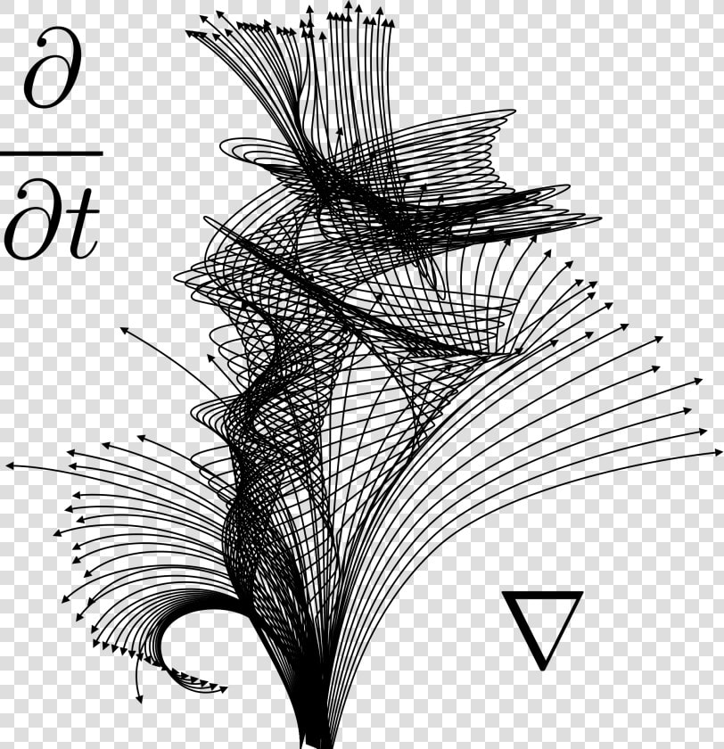 Order And Degree Of Differential Equation   Ordinary Differential Equations Graph  HD Png DownloadTransparent PNG