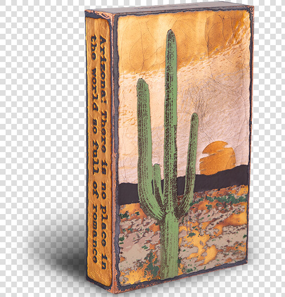 Saguaro  HD Png DownloadTransparent PNG