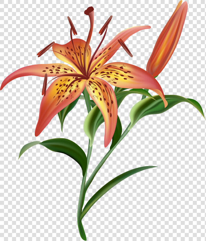 Lilium Flower Png Clip Art Imageu200b Gallery Yopriceville   Lilium Flower Png  Transparent PngTransparent PNG