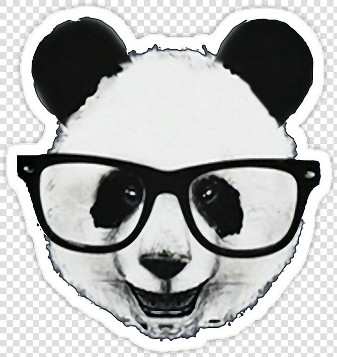  baby  animals  animales  emoticon  hipster  tumblr   Panda Hipster  HD Png DownloadTransparent PNG