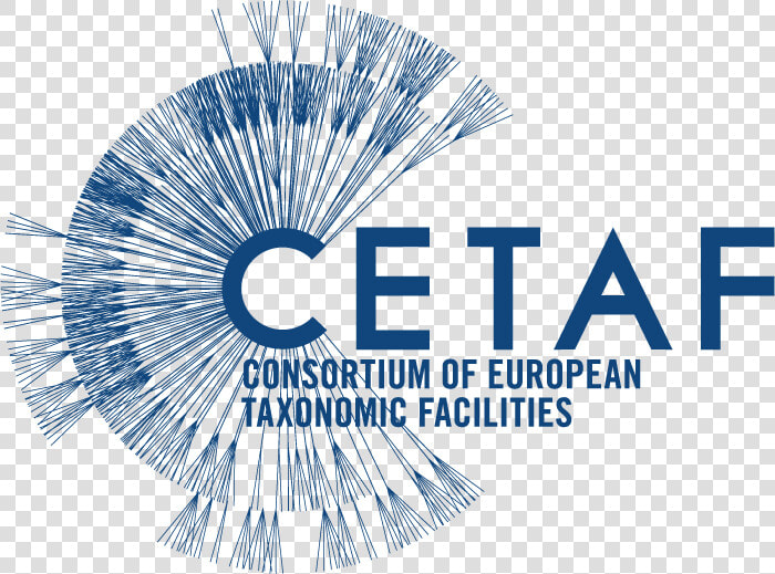 Cetaf Consortium Of European Taxonomic Facilities   Richard  amp  The Shadows Reunited  HD Png DownloadTransparent PNG