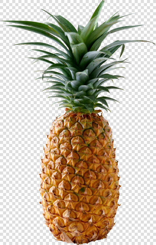 Pineapple Png Image  Free Download   Ananas Png  Transparent PngTransparent PNG