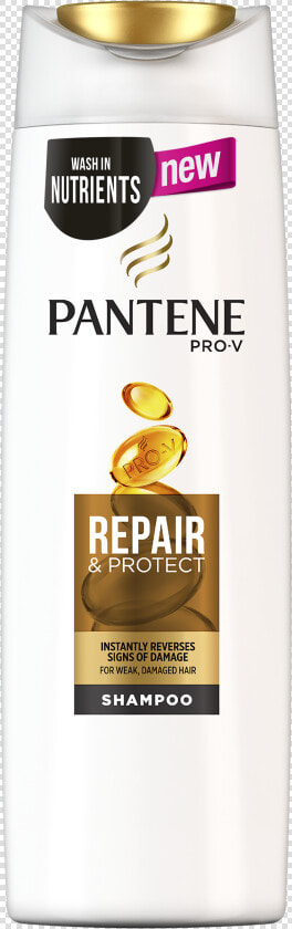 Pantene Pro V Repair And Care  HD Png DownloadTransparent PNG