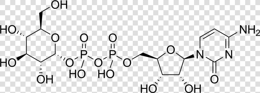 Cytidine Diphosphate Glucose   Dtdp Glucose  HD Png DownloadTransparent PNG