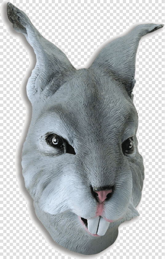 Grey Rabbit Mask   Latex Rabbit Mask  HD Png DownloadTransparent PNG