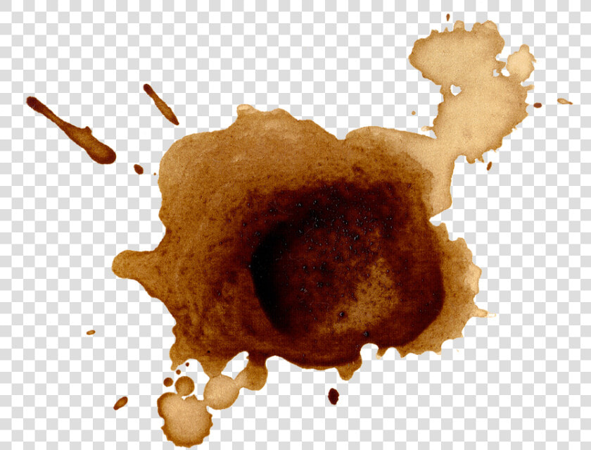 Coffee Stains Transparent Png  Png DownloadTransparent PNG