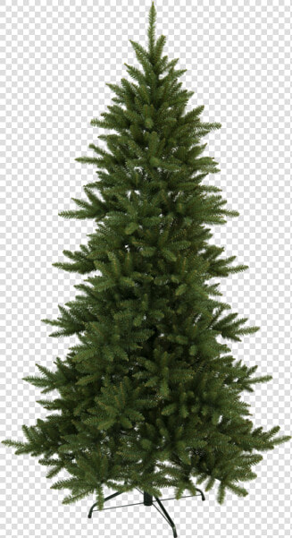 Christmas Tree Minnesota   Nordmann Fir 8 9 Christmas Tree  HD Png DownloadTransparent PNG