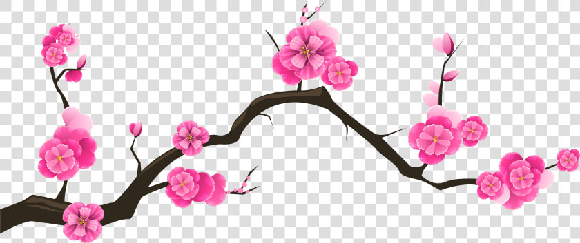 Kunstbilder  Clipart  Bunte Zeichnungen  Geld  Molde    Transparent Background Cherry Blossom Branch Clipart  HD Png DownloadTransparent PNG