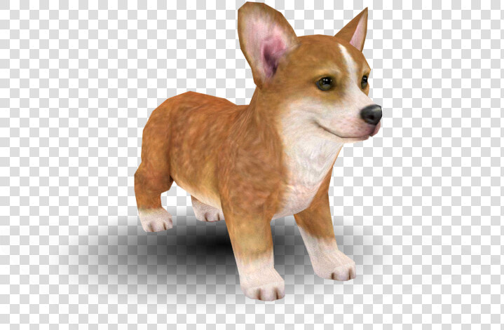 Download Zip Archive   Pembroke Welsh Corgi Nintendogs  HD Png DownloadTransparent PNG