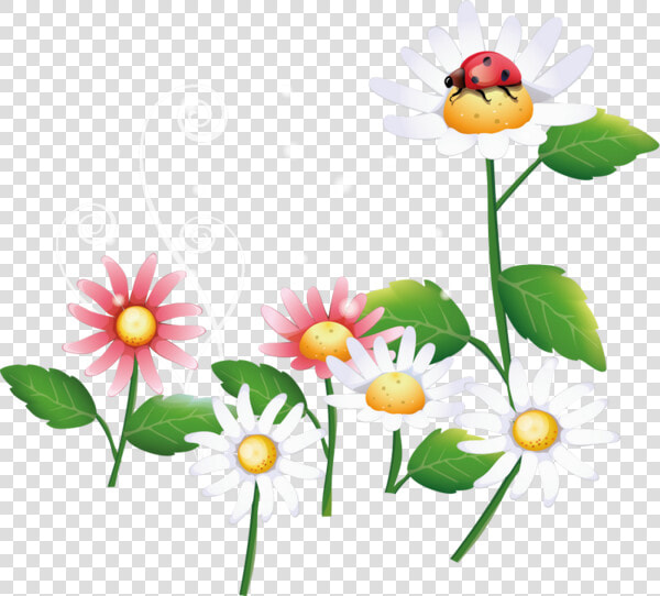 Flies Away  Flower Clipart  Illustration  Ladybugs    Free Vector Nature  HD Png DownloadTransparent PNG