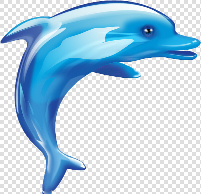 Dolphin Cartoon Cuteness  HD Png DownloadTransparent PNG