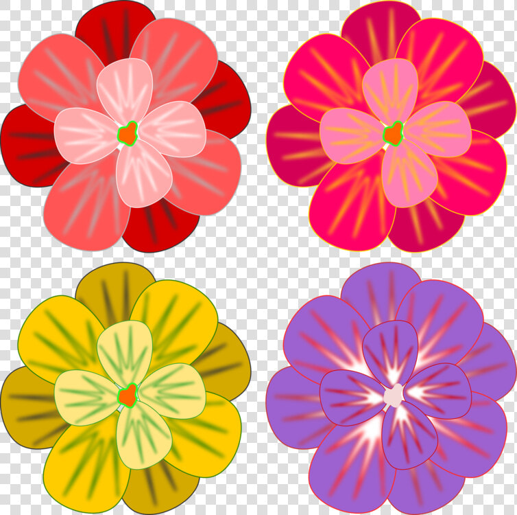 Daisy Family chrysanths plant  HD Png DownloadTransparent PNG