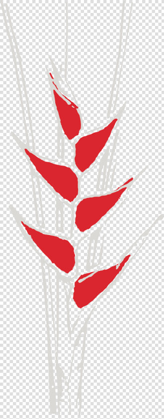 Coco Maya Logo Flowers Cmyk 2  HD Png DownloadTransparent PNG