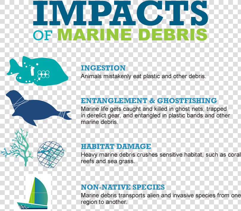 Impacts Of Marine Debris   Impacts Of Marine Litter  HD Png DownloadTransparent PNG