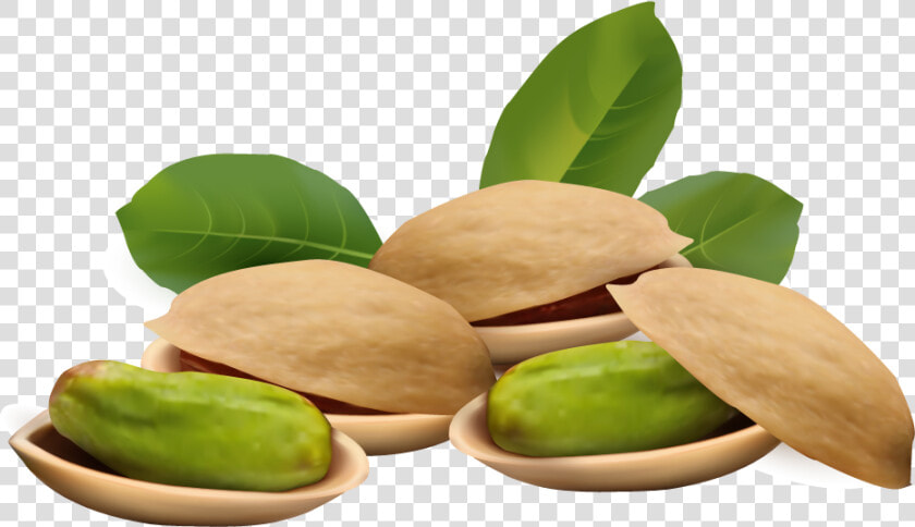 Pistachios Png   Pistachio Clipart  Transparent PngTransparent PNG