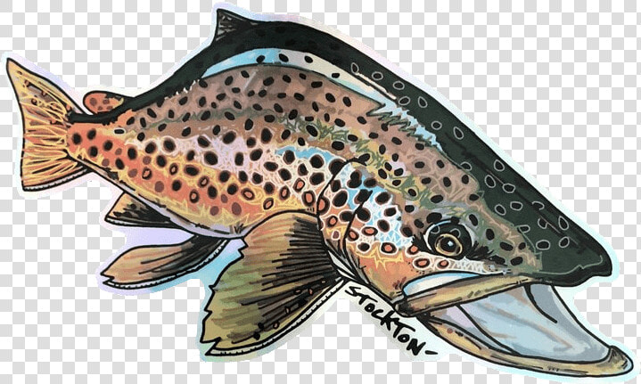 Matthew Stockton Brown Trout Holographic Sticker   Brown Trout Png  Transparent PngTransparent PNG