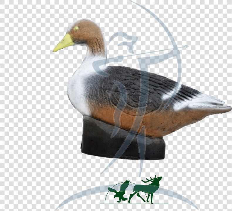 Leitold 3d target Grey Goose   Mallard  HD Png DownloadTransparent PNG