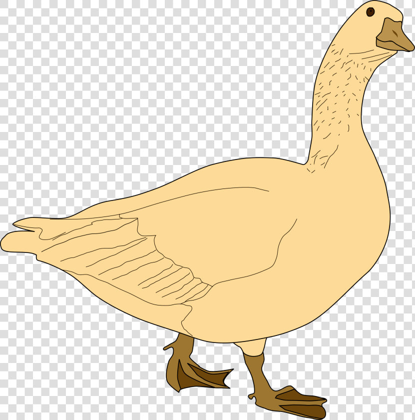  22golden Goose 22 Oca gris   Goose Clip Art  HD Png DownloadTransparent PNG