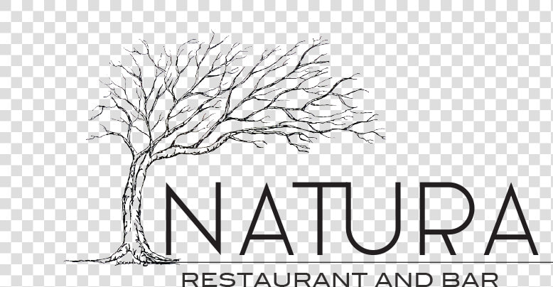 Natura Logo Black  HD Png DownloadTransparent PNG