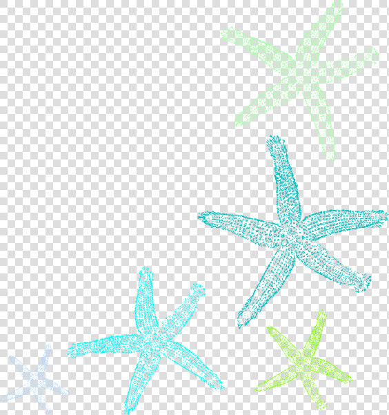 Starfish Prints Clip Art At Clker   Star Fish Art Transparent  HD Png DownloadTransparent PNG