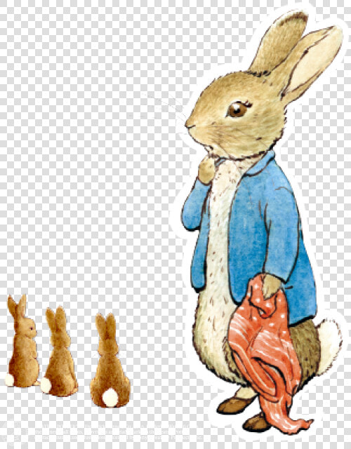 Transparent Peter Rabbit Clipart   Peter Rabbit Transparent Background  HD Png DownloadTransparent PNG